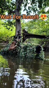 15K views · 243 reactions | Beautiful Family of Green Bee-eaters A...