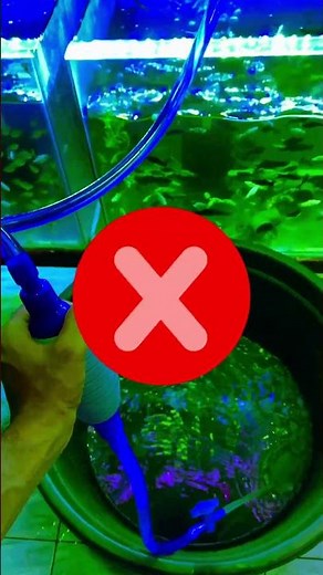 How to control algae in fish tank..