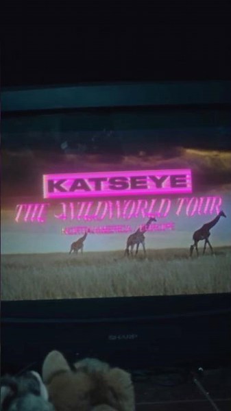 call all your bestest friends, because THE WILDWORLD TOUR is officially announced!! 🖤 #KATSEYE