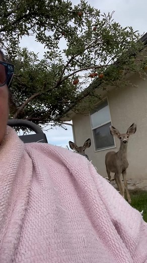 Hyapatia Lee (@hyapatia1)’s videos with original sound - Hyapatia Lee