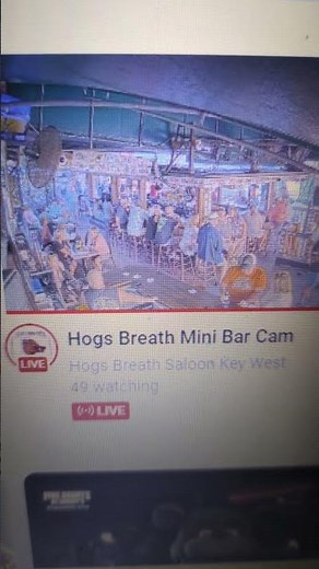 Video recommendation for hog's breath mini bar cam key West Florida live stream