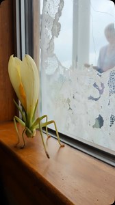 2.9K views · 25K reactions | Field Notes – Alpine refuge near...