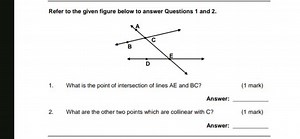 What is the point of intersection of lines AE and BC?What are... | Filo