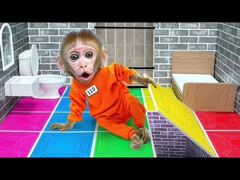 Monkey Baby Shark | Nursery Rhymes & Kids Songs |Bobby Kids Songs