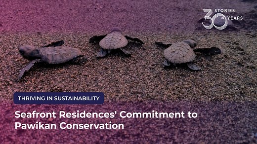 THRIVING IN SUSTAINABILITY As part of its 30th anniversary, Aboitiz Land proudly opened the Pawikan Hatchery at Seafront Residences, providing a safe haven for pawikans on the shores of San Juan. The hatchery plays a crucial role in the conservation of these endangered sea turtles, offering a protected space where their eggs can safely hatch and the young pawikans can be released back into the ocean. In collaboration with vecinos, key partners, and local officials, Aboitiz Land has also distribu