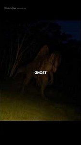 Everything About Spinosaurus Was Wrong