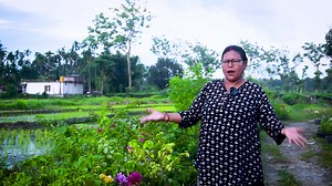 Hjr Seta Kati Khalke Bougainvillea Ko Varieties Xha? Mo seta Mero Terrace Garden ko ra Aja Ko Naya Varieties Milaira 35 vareities Bhayo! Aja K K Vareities Layera Ako Chu Yo Video ma Hernu Hola! #highlights #everyone #everyonehighlightsfollowers #flowerlovers #foryoupage #viralreels #viralflower #gardening #gardeningtips #gardeninspiration #flowershop #flowers #PerennialPlants #perennialflowers #pabitragarden | Pabitra Garden