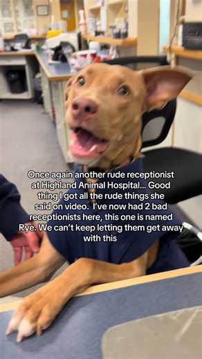 Handling Rude Receptionists at Animal Hospitals