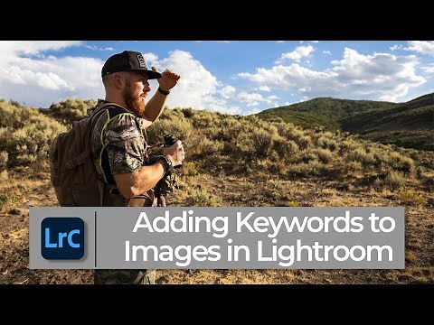 How to use Lightroom classic keywords | PPT LrC