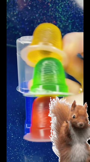 Satisfying Squirrel Jelly Squeeze ASMR