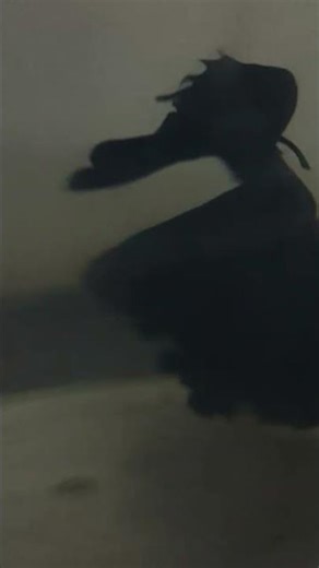 Half Moon Betta Fish | Beautiful Betta Fish in Aquarium | Siamese Fighting Fish.