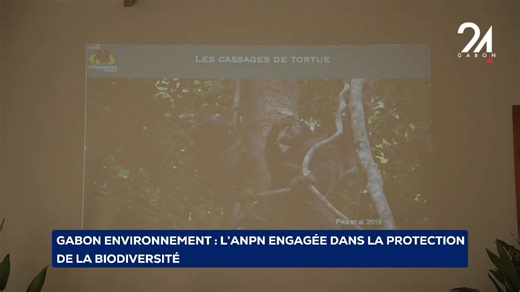 Gabon 🇬🇦 environnement : l'ANPN - Agence Nationale des Parcs Nationaux du Gabon prend une part active au troisième atelier scientifique sur la conservation de la biodiversité animale du pays. | Gabon 24