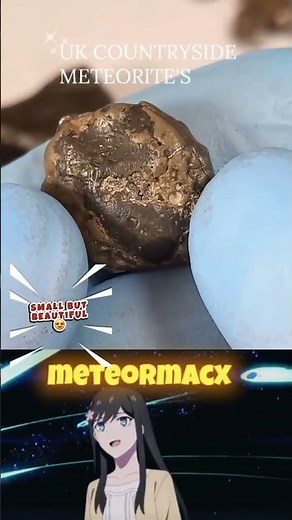 Heather shrubs and meteoroids