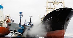 Sea Shepherd documentary is real life cat and mouse game