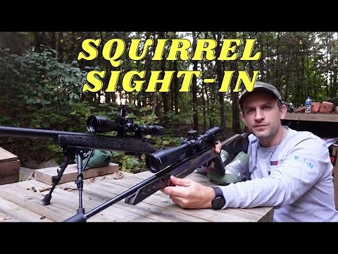 How to sight-in your 22LR rifle for squirrel hunting