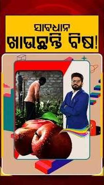 ସାବଧାନ ଖାଉଛନ୍ତି ବିଷ ! | RokThok | ToxicFood | Food Safety | Odisha News | Argus News