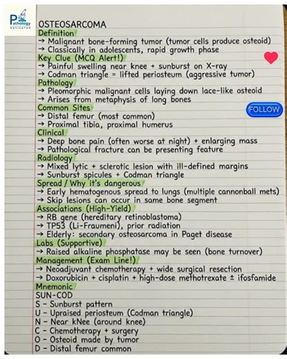 Pathology Navigator on Instagram: "Follow • Save • Share ❤️📌📤 🦴 One striking exam clue in osteosarcoma is the Codman triangle—that lifted periosteum points to an aggressive bone tumor. 👉 Most common site: around the knee (distal femur > proximal tibia) ✨ X-ray buzzwords: sunburst spicules + mixed lytic–sclerotic lesion 🔬 Hallmark: malignant cells producing osteoid (lace-like osteoid) 🫁 Most common metastasis: lungs (hematogenous spread; “cannonball” mets) 🧬 Key associations: RB gene, TP53
