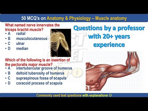 50 Muscle anatomy practice questions by professor | muscle anatomy MCQs | #muscleanatomy