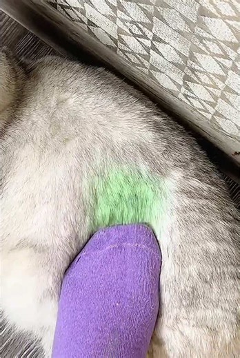 Funny Cat Moments That Will Make You Laugh