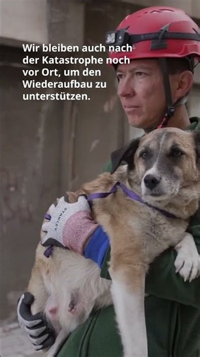 Gemeinsam schaffen wir eine mitfühlendere Welt für Tiere