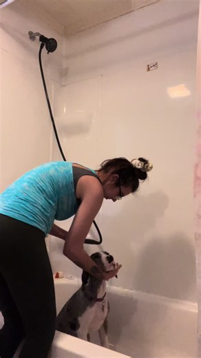 shelbi_cook (@shelbi_cook)’s videos with original sound - shelbi_cook