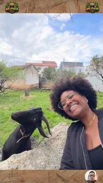 17 Funniest, Craziest & Smartest Animal Moments Ever