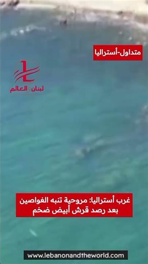 قرش أبيض ضخم يثير الفزغ في غرب استراليا