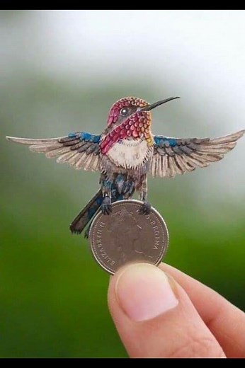 World’s Smallest Bird – You Won’t Believe Its Size! 🐦💨#smallestbird #hummingbird