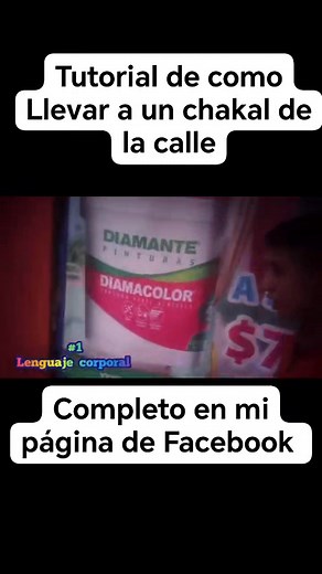 192K views · 3.4K reactions | Tutorial de como llevár a un chakal de la calle | Cazachakales oficial | Facebook