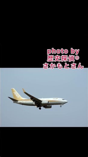 全日本空輸 ANA JA02AN B737-781 #Aviation #飛行機 #一文詩