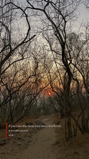 TinyUnwritten on Instagram: "It’s not only about forests. Sometimes in love, you pass the same tree twice, returning to the same person, the same patterns, the same conversations, hoping the ending will finally change. Familiarity begins to feel like destiny, and comfort disguises itself as belonging. But love, like a forest, gives signs when you’re no longer moving forward. Getting lost doesn’t always mean you chose the wrong path sometimes it means you stayed too long, mistaking repetition for