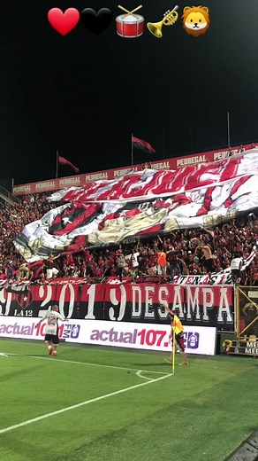la gloriosa numero 12❤️🖤🥁🎺🦁#alajuelense❤️🖤 #estaesla12esteeselcarnaval #la12