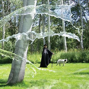 Black Forest Fire - Transit Of Venus