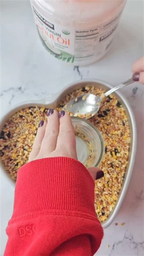 Michelle | Crafty Morning on Instagram: "Letting this heart cake pan bird feeder set up. Who wants the tutorial video?🥰"