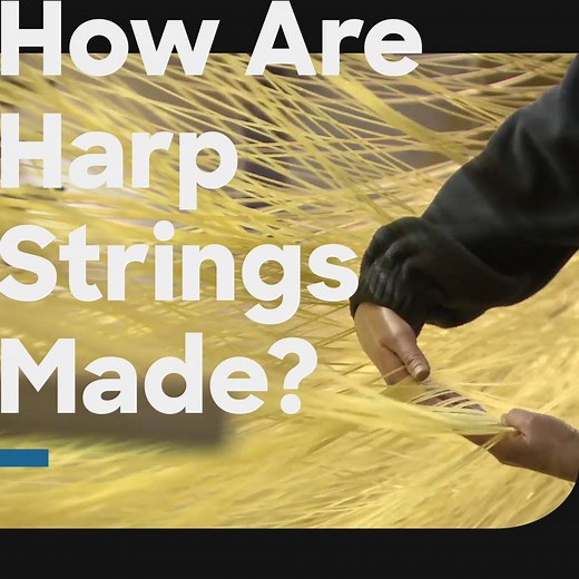 Harp strings are made of what?! 😱 | Discovery Channel UK