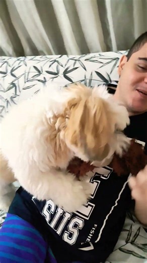 #Mateus zuando com Beethoven esses dois 🤣🤣🐒