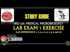BIO 225: LAB EXAM 1 EXERCISE