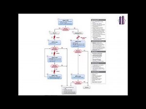 Quick Hits: American Heart Association 2025 Guidelines