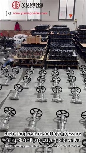 High-temperature and high-pressure forged steel Gate Valve/Globe Valve.