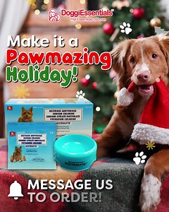 134 reactions · 4 comments | Time to make more memories with your furbaby this holiday season! ❤️  Make sure they’re well-hydrated and energized after every Howliday activity with the help of Dextrolyte — a complete electrolyte supplement that rehydrates and replenishes dogs’ energy. ⚡ PM us to order (₱56 SRP for Recovery Pack / ₱250 SRP for Family Box) or shop for our complete doggie care line at https://doggiessentials.com.ph!  | Yum Yum Dog Food | Facebook