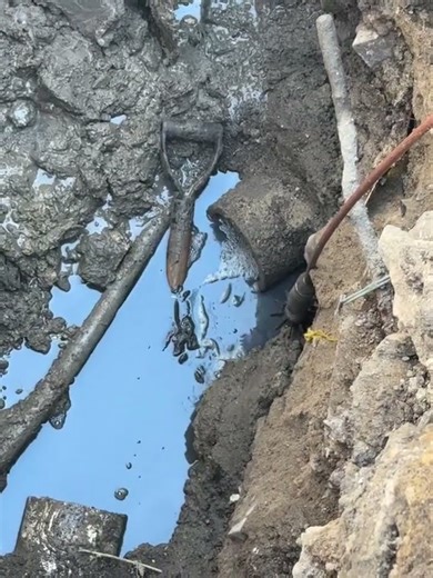 Discover the Power of Hydro Jetting in Chicago #draincleaning #hydrojetting