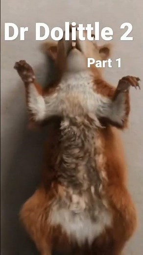 Dr dolittle 2 Movie Kids Movies