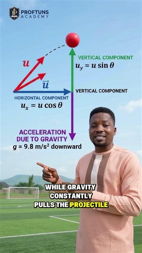 PROJECTILE MOTION (physics) Explained! (WAEC, JAMB PUTME )
