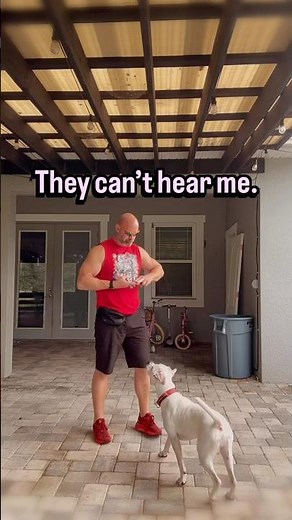 Complete Guide to Training Your Deaf Dogs.