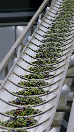 64 reactions | Through full vertical integration, Cobram Estate oversees every step of our proprietary process—guaranteeing unmatched quality and consistency㮝 Hear directly from Leandro Ravetti, Chief Olive Oil Maker and Joint CEO, as he shares how this commitment keeps us at the forefront of the industry, producing world-class 100% California extra virgin olive oil. | Cobram Estate USA | Facebook