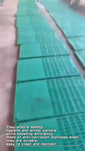 Pig Gestation Crate | Efficient Sow Management Solution