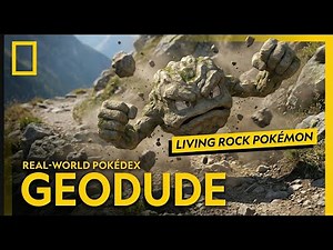 If Pokémon Were Real: How Geodude Would Actually Live in the Wild