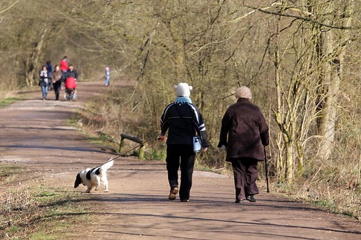 17 wonderful walks in our beautiful country parks in and around Northampton including some hidden gems