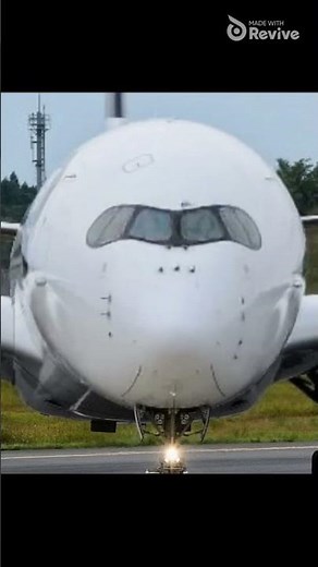 Airbus A350 Sings "MONEY"! 💸✈️ LISA (AiSh Cover) Plane Meme!