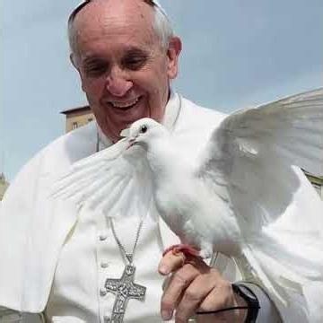 365 días con el #papafrancisco #libro #RDE